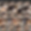 GIRLSOFHEL.com Partail Site-rip 1080p H.264 AAC.2.0 thumb