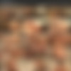 [Daniel19.com]    : 