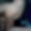 [2016 ., Oral, CamRip] thumb