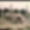 Summer Beach House /     (Gourmet Video) [1980 ., Feature, Classic, VHSRip] (Danielle, Gloria Leonard, Blake Palmer, Becky Savage, Hillary Summers, Ray Wells) thumb