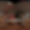 [VRHush.com] Chloe Rose (Kissed By A Rose) [2025 ., Hardcore, All Sex, 180°, 8k, 3840p] [Oculus Rift / Vive] thumb