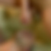 [ButchDixon.com] David James & Riley Tess [2016 ., Anal, Bareback, Flip-Flop*, Blowjob, Facial, Ass Play, Fingering, Rimming, Toys, Huge Dildos, Tattoos, Uncut, Cumshots, 720p] thumb
