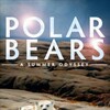 Polar Bears A Summer Odyssey 2012 3D 1080p Blu-ray AVC DTS-HD HR 5 1 thumb
