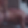 [TeenFidelity.com] Rahyndee James ( Make Em Sweat #6 / 157 / 12.12.14) [2014 ., All Sex, 1080p] thumb