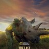 The Last Rhinos: A New Hope [2025] / H264 / MKV / WEB / 1080p / AC3 / Subs / Kitsune thumb