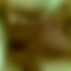 [2010 ., Homemade, Mature, Oral Sex, CamRip] thumb