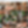 Sexmares (1993) thumb