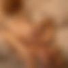 [WankItNow.com] Chloe Toy - Am I Doing It Right? (30.11.2019) [2019 ., Age (21-29), Bedroom, Blowjob, Bra, Cumshot (Tits), Hair (Blonde), Lingerie, Nipples, Nude, Open Leg, Pussy (Shaved), Stockings, Tattoos, Tits (Medium), Tits (Natural), 1080p] thumb