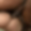 [RagingStallion.com] Trapped. Scene 3 (Sean Duran, Jason Vario) [2017 ., Muscles, Kissing, Cumshot, Blowjob, Anal, Rimming, Shaved Head, Tattoo, 1080p] thumb