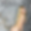 [RylskyArt.com] 17  / 2019-02 /  [Erotic] [Hi-Res, 952 ] thumb