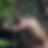 [FuckerMate.com] Carlos Leao and Axel Fulling [Welcome to the Jungle] [2016 ., Anal Sex, Bareback, Big Dick, Black, Blowjob, Cumshots, Interracial, Kissing, Latinos, Masturbation, Muscles, Piercing, Rimming, Tattoos, Uncut., 720p] thumb