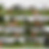 [2019 ., Exhibitionism, 1080p, CamRip] thumb