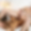 [DrillMyHole.com / Men.com] The 3rd Date (Diego Sans, Roman Todd) [2016 ., Muscle, Anal/Oral Sex, Big Dick, BlowJob, Tattoos, Hairy, Rimming, Cumshot, Masturbation, 720p] thumb