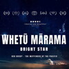 Bright Star [2021] / SD / DVD / MPEG2 / AC3 / Subs / VOBIFO thumb