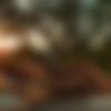 [DorcelVision.com] James et Lola vol.2 (2022) thumbnail