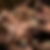[LucasEntertainment.com] Alejandro Castillo, Viktor Rom, Bogdan Gromov, Mario Domenech, And Damien Crosse's Bareback Orgy / LVP253-04 Seriously Hard Fucking, scene 4 [2017 ., Anal, Bareback, Group, Blowjob, Facial, Snowballing, Uncut, 720p] thumb