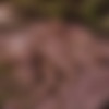 [X-Art.com] Sara Luvv (A Fucking Picnic / 12.09.15) [2015 ., Outdoor, Hardcore, 1080p] thumb