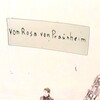Von Rosa von Praunheim [1968] / SD / DVD / MPEG2 / MP2 / German / VOBIFO thumb