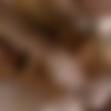 [LucasRaunch.com/LucasEntertainment.com] Stretch My Hole, Sc.1: Rafael Carreras Opens Up Darius Ferdynand's Ass [2013 ., Anal/Oral, Ass Play, Big Dicks, Cumshots, Facial, Fingering, Gaping, Kissing, Masturbation, Muscles, Rimming., 720p] thumb