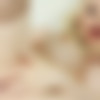 [SarinaValentina.com] Sarina Valentina / Sarina Red (12 Dec 2014) [2014 ., Shemale, Tranny, Solo, Posing, Masturbation, Dildo, 720p, SiteRip] thumb