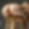 [Hegre-Art.com] 2016-10 /  / 27 c [1428  / Hi-Res] thumb