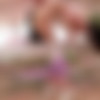 Sakamoto Rio - 3 Genuine Anal Creampies [ASEX-002] (Tanaka . Bacon, ASSMI) [cen] [2025 ., Anal, Bunny Girl, HDRip] [1080p] thumb
