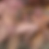 [Corbinfisher.com/Cfselect.com] Josh, Dawson, Connor - Tres Facheros -   [2012 ., Real video, Interview, Travel, 720p] thumb