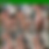 [OnlyFans.com] Kayleb Alexander [45] [2021-2023 .., Twinks, Bareback, Big Dick, Oral, Anal, Masturbation, Cumshots, CamRip] thumb