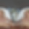 [CzechVR.com] Isabella Lui - Letter for a Cock (CzechVR 779) [16.04.2025, Big Pussy Lips, Big Tits, Blowjob, Close ups, Cowgirl, Croptop, Cum on Tits, Cum Play, Curvy, Doggy Style, Foyer, German, Handjob, Hardcore, Intimate Missionary, Jeans, Long Hair, MILF, Pale, Panties, Postwoman, Redhead, Reverse Cowgirl, Shaved, Sideways Cowgirl, Silicone, Sneakers, Tattoo, Titjob, Titty Fuck, Whispering, Virtual Reality, SideBySide, 8K, 3840p, SiteRip] [Oculus Rift / Quest 2 / Vive] thumb