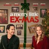 A Merry Little Ex-Mas 2025 1080p WEBRip DD+ 5 1 Atmos x265-iVy thumb