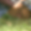 [PissingOutdoor.com]      (165 ) [2005-2010 ., Peeing, Outdoor] thumbnail