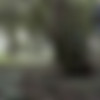 [Peeing-outdoors.com]     [2013 ., peeing, voyeur, HDRip,720p ] thumbnail