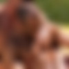 [RandyBlue.com] RB2661 Lance & Sean (Lance Alexander, Sean Zevran) [2013 ., Anal Sex, Big Dicks, Blowjob, Cumshots, Intrracial, Kissing, Muscles, Masturbation, Rimming., 720p] thumb
