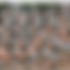 [SeanCody.com] SC-1303 CONNER [2011 ., Solo, Masturbation, um, SiteRip] thumbnail