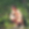 [Camera@ro.ru]     [handjob, outdoor, twinks, russian, nudism, voyeur, CamRip] thumb