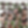 [FakeHub.com / PublicAgent.com] Kaisa Nord (Shaven Russian Fucked Outdoors) [13.08.2019, All Sex, Blowjob, Handjob Cum, Titty Fuck, Doggystyle, Medium Ass, Big Tits, 480p] thumb