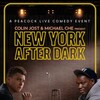 After Dark 2024 1080p WEBRip Dubbed DD+ 2 0 x265-iVy thumb