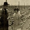 The Rose of Kentucky 1911 BDRip x264-BiPOLAR thumb