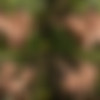 [SeanCody.com] SC-2289 Puerto Rico: Day 4 - Brysen, Daniel, Jayden & Manny [2017 ., Anal Sex, Bareback, Big Dicks, Blowjob, Cumshots, Facial, Fuck Sandwich, Hairy, Kissing, Masturbation, Muscles, Orgy, Outdoors, Tattoos, Threesome., 720p] thumb