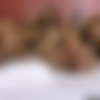 [WildShemaleOrgies.com] Champagne Craziness 2 /   2 () [2009 ., (Shemale/Trans), SiteRip, 720p] thumbnail