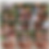 [80Gays.com] Wild Boys [2010 ., Group Sex, Foursome, Oral/Anal Sex, Bareback, Interracial, Asian, Outdoors/Indoors, Shower, Spit Roasting, Pissing, Facial Cumshot, Older/Younger, Daddy, Twinks, Uncut, 720p] thumb