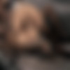 [Straplezz.com / StraplessDildo.com] [ 2015, 2016, 2019, 2020 ..] [Lesbian, Strap-on, Dildo, Pussy Licking, Pantyhose, Nylon, Foot Fetish, BDSM, Facesitting, Foot Licking, Fetish, Encasement] [1280x719 - 2000x1600, 1740 , 37 ] thumb
