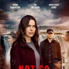 Not So Perfect Stranger [2025] / 1080p / WEB / H264 / AAC / MKV / playWEB thumb