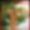 [goddessnudes.com]  - 2012-02 (21  + covers) thumbnail