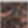 [Onlyfans.com] Tiff Bannister, redheadwinter, Bronwin Aurora, Coco Star, just-wingit - Movie theater orgy [2023-05-18, Amateur, Cumshot, Dildo, Facial, Girl/Girl, Group Sex, Orgy, Strapon, Toys, 480p, SiteRip] thumb