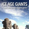 Ice Age Giants S01E02 Land of the Cave-Bear 1080p WEBRip x264-CBFM thumb
