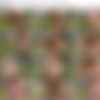 Mona Wales Megapack thumb