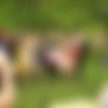 [LJ, runetki, VK.com, others] JetSetGirl [2011-12 ., Nude, Solo, Toys, CamRip] thumbnail