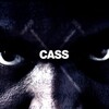 Cass [2008] / H264 / MKV / WEB / 1080p / AC3 / Subs / OnlyWeb thumb