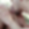 [FuckerMate.com] Koldo Goran and Angel Garcia [Outdoor bare-friends] [2016 ., Anal Sex, Bareback, Big Dick, Blowjob, Cumshots, Hairy, Kissing, Masturbation, Muscles, Outdoors, Rimming, Tattoos, Uncut., 720p] thumb